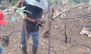 FB_IMG_1766042278592