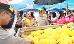 CREATOR: gd-jpeg v1.0 (using IJG JPEG v62), quality = 80?